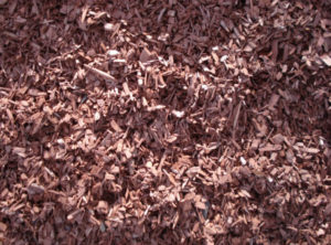 Mahogony Bark