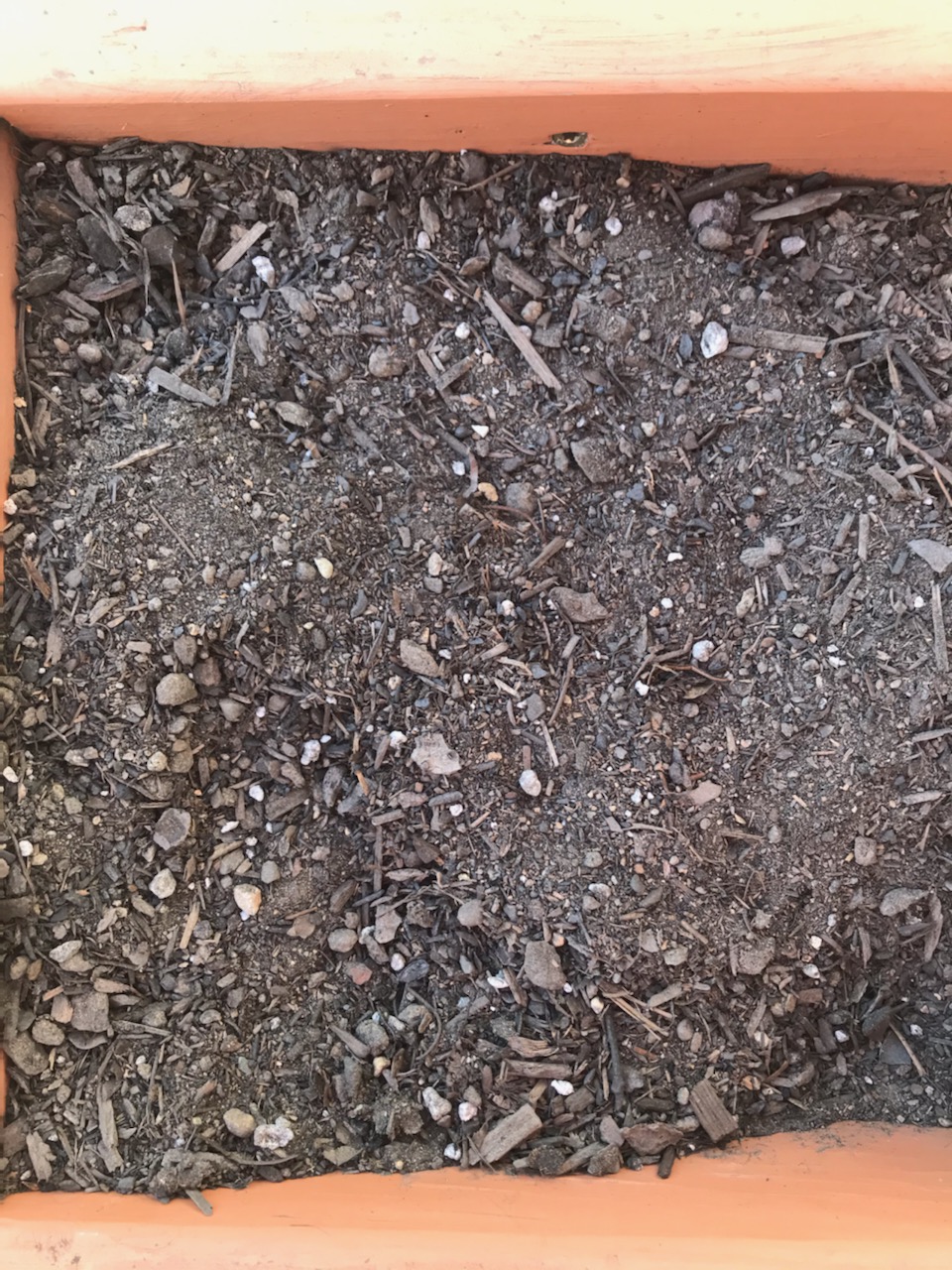 organic planters mix soils