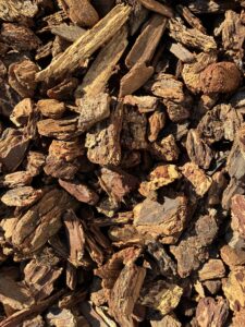 Medium bark 1