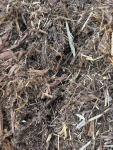 Shredded Cedar 1