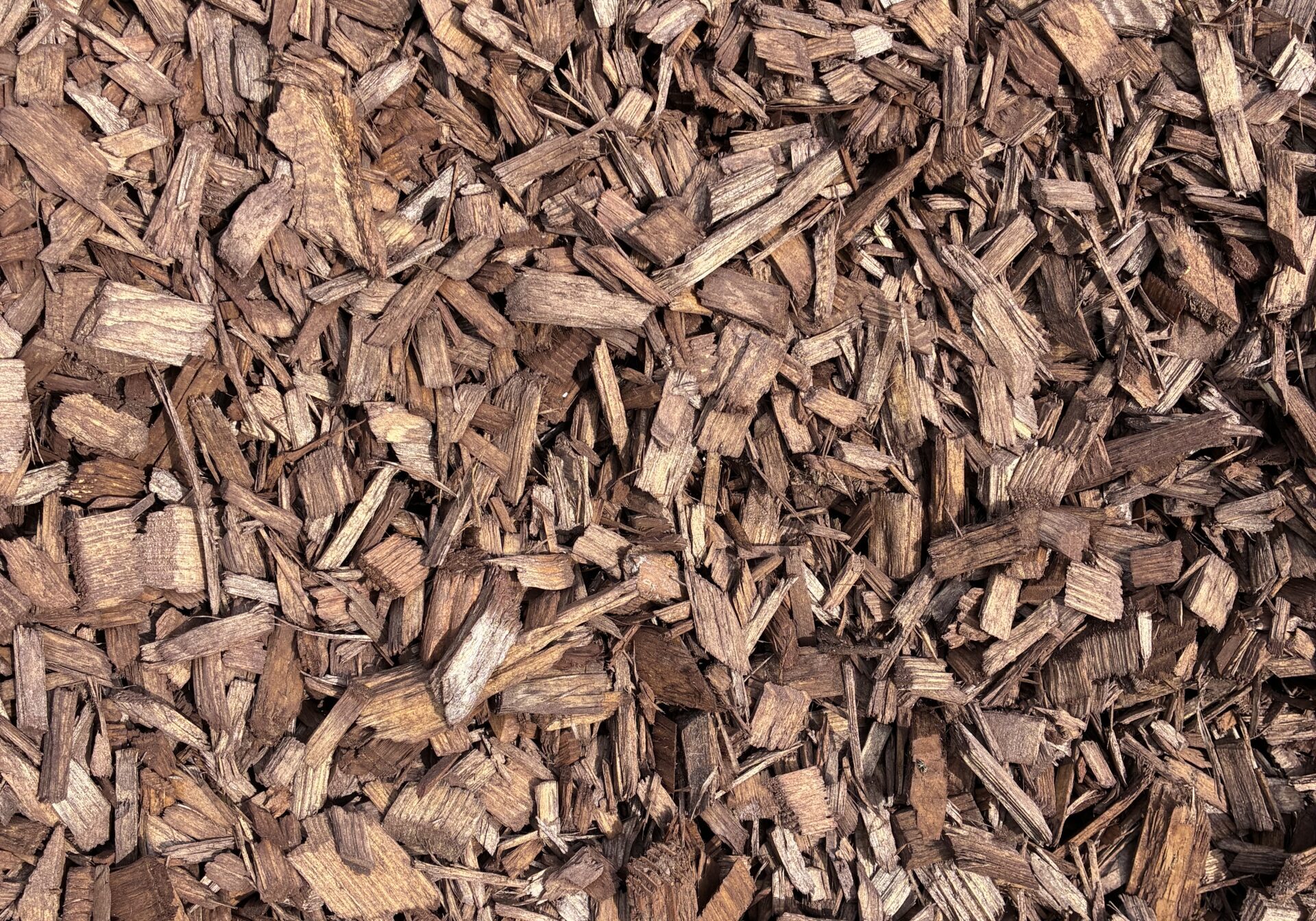 Mahogany