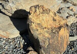 Moss rock